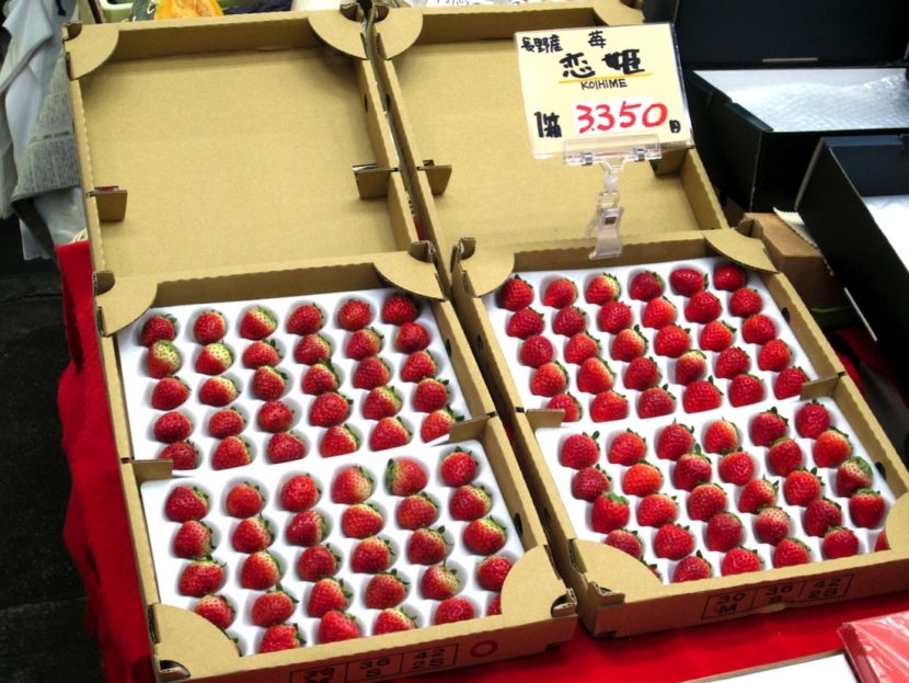 What to eat in Osaka 6 must try food (plus fun facts about Japan